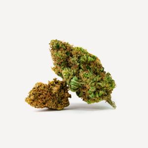 Hemp Flower Box Max (Demo)